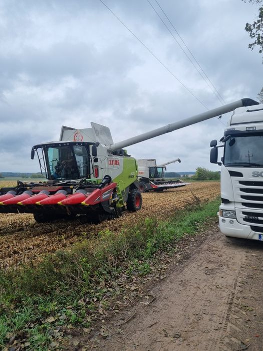 Koszenie/zbiór kukurydzy zbóż rzepaku usługi rolnicze