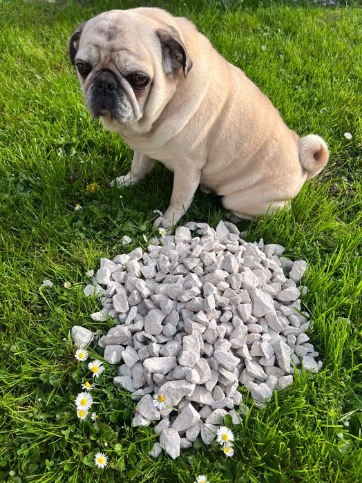 Kamień Ozdobny do Ogrodu, Kruszywo, Grys na Podjazd, Parking, TANIO!