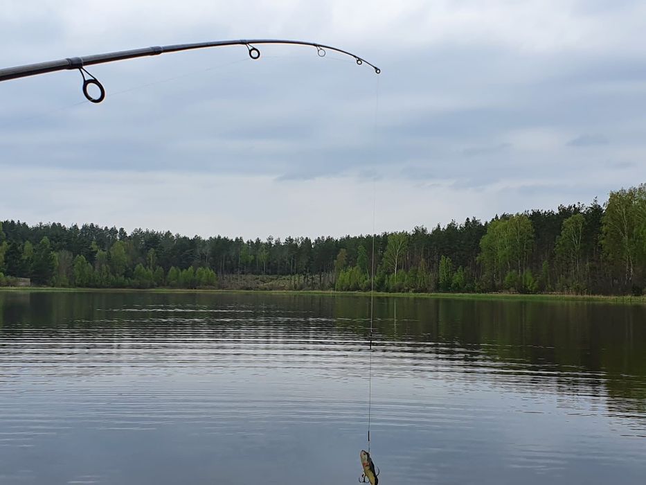 Domek nad prywatnym jeziorem z możliwością połowu ryb.