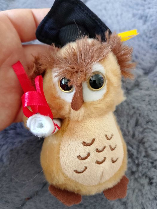 Sowa zakończenie roku pasowanie przedszkolaka