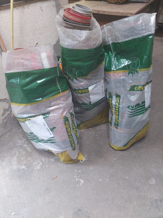 Vasos plásticos usados para transplante