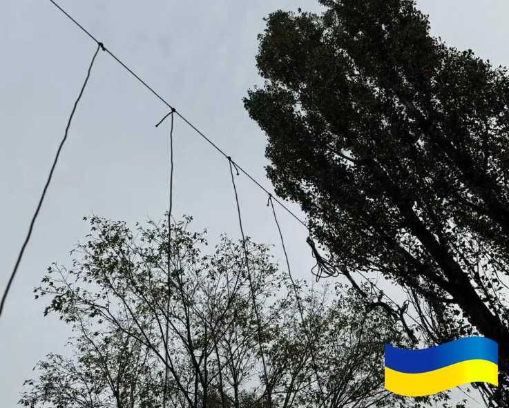 Антидронова штора сітка 6х3м для захисту Паракорд 5мм Темно зелений