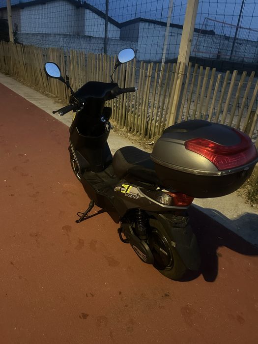 Vendo vortex goose