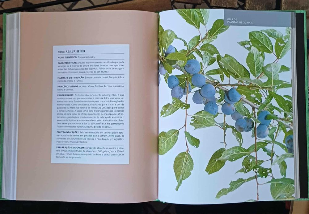 Grande Guia de Medicina naturalista