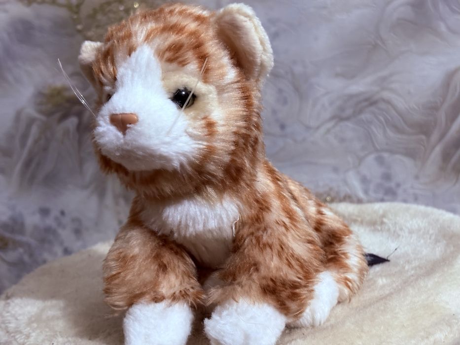 Котик фірми Примарк