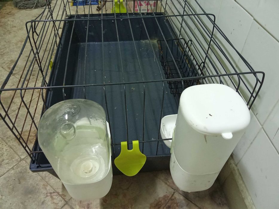 Gaiola para porquinhos da Índia,coelhos etc