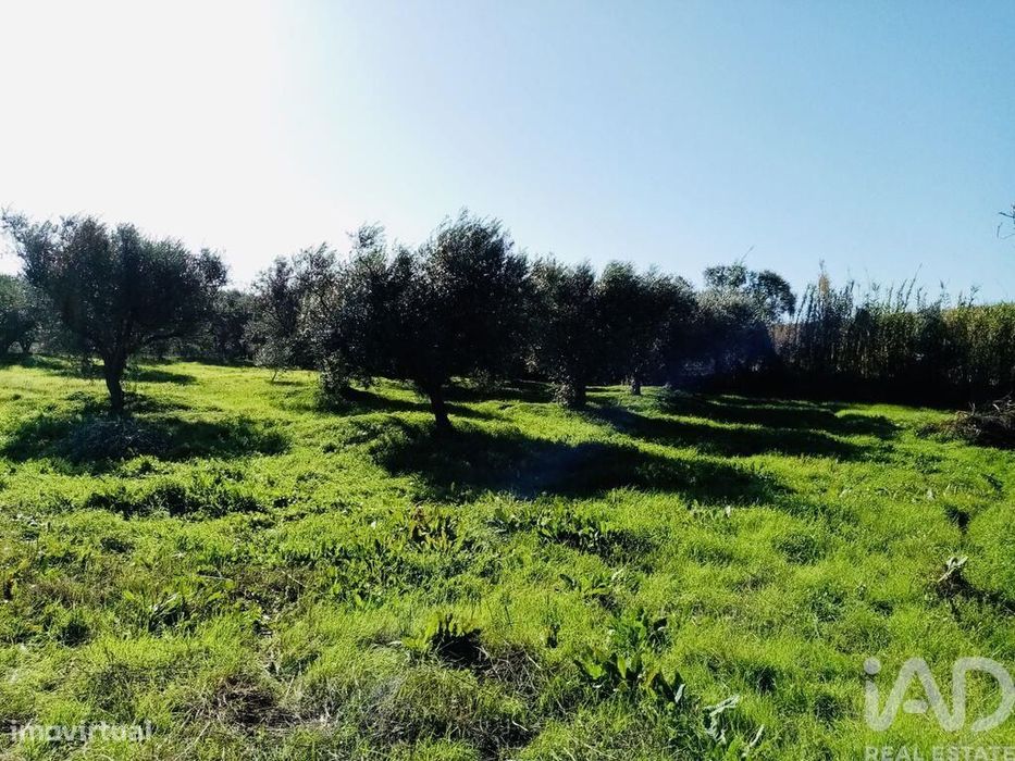Agricultural Land in Pedrógão