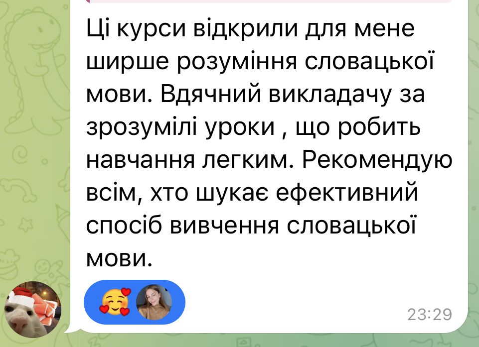 Репетитор словацької мови. Викладач курс Словацька з нуля.