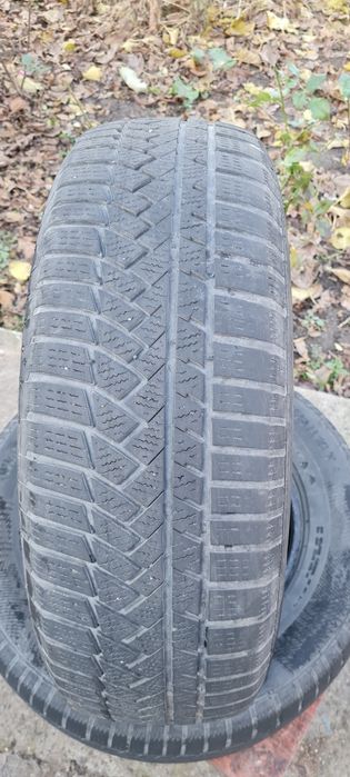 Шина  Continental,  Winter Contact