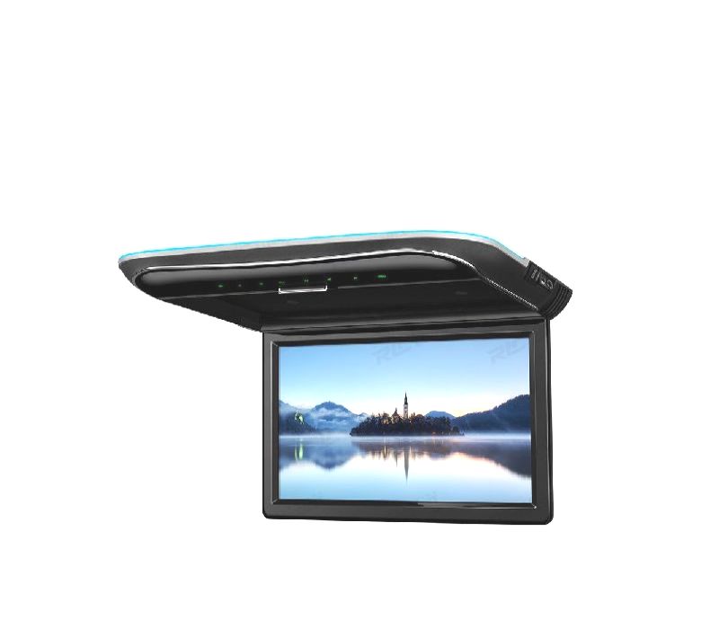 ECRÃ TEJADILHO 11.6 " FULL HD
