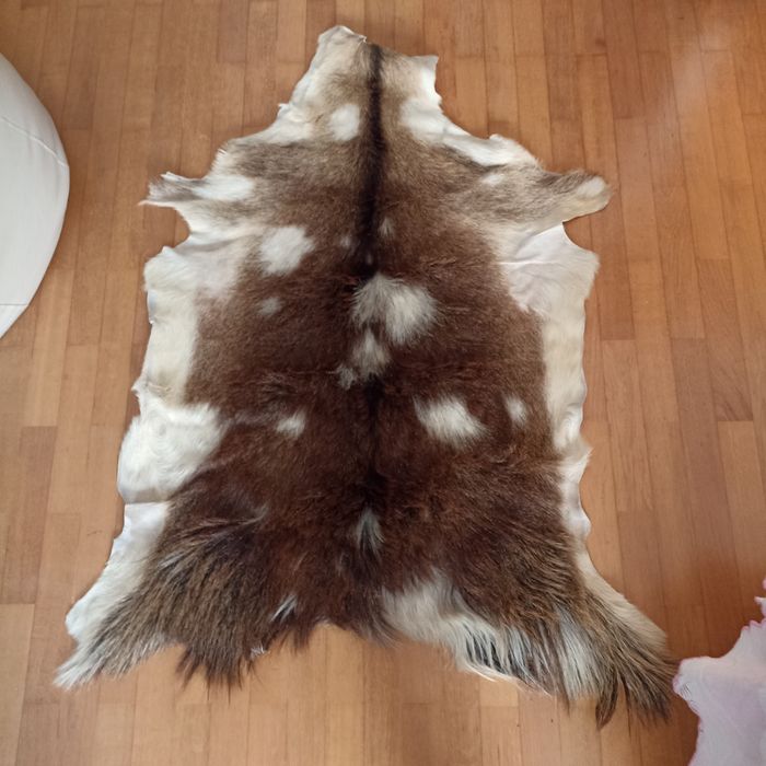 Genuine goat skin