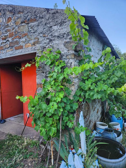 Quinta com vista para a Cova da Beira