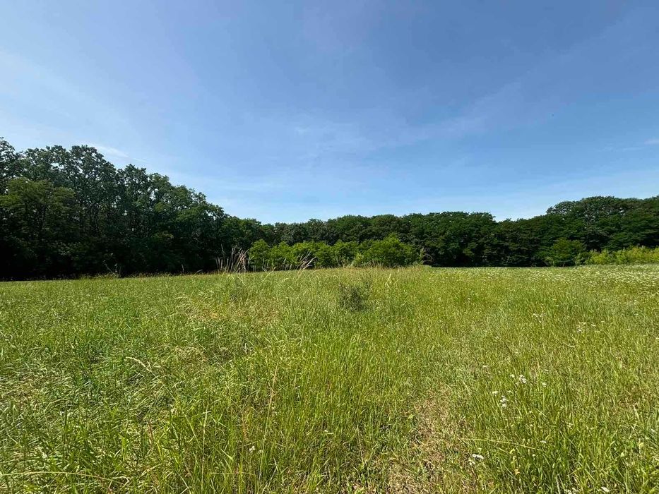 Продаж земельної ділянки в селі Бохоники