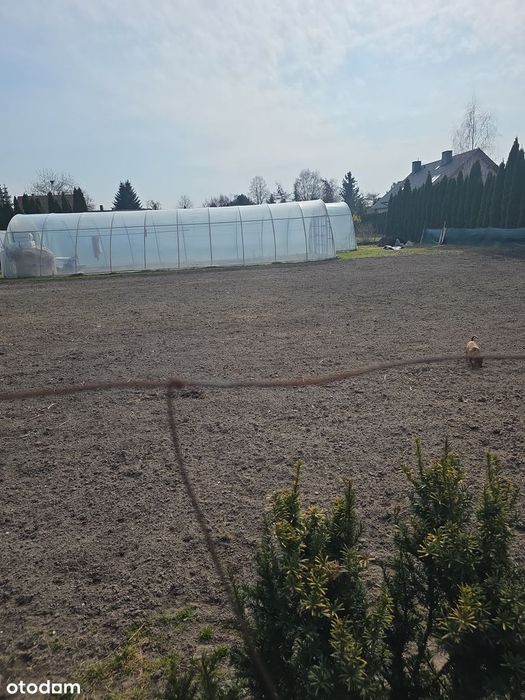 Działka zabudowana w Szczepankowie