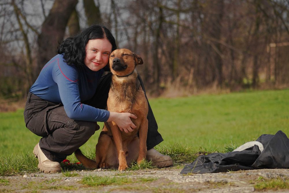 Akso - młody pies szuka domu