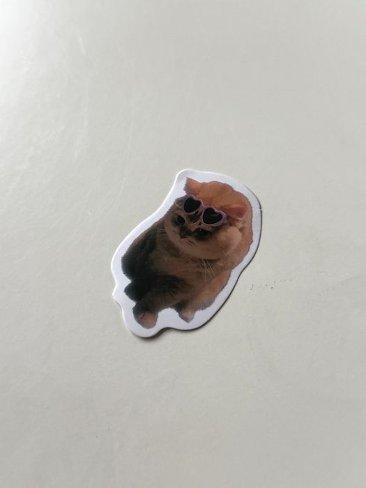 naklejka sticker cute kot cat animal