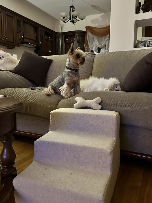 Драбина для собак/ сходинки для собак