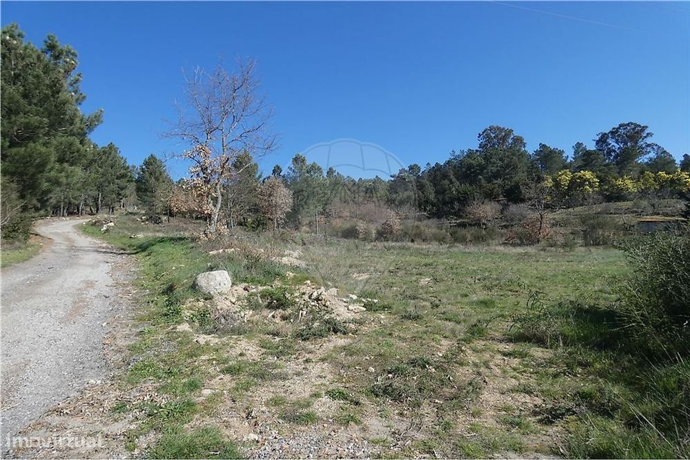Land Plot - Rossas - Ferreirim