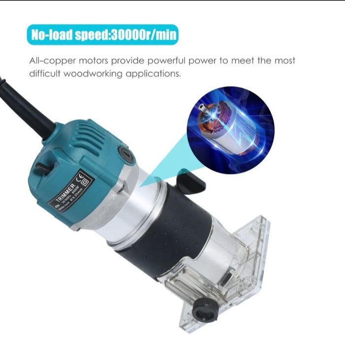 Tupia electrica  (Artigos novos)