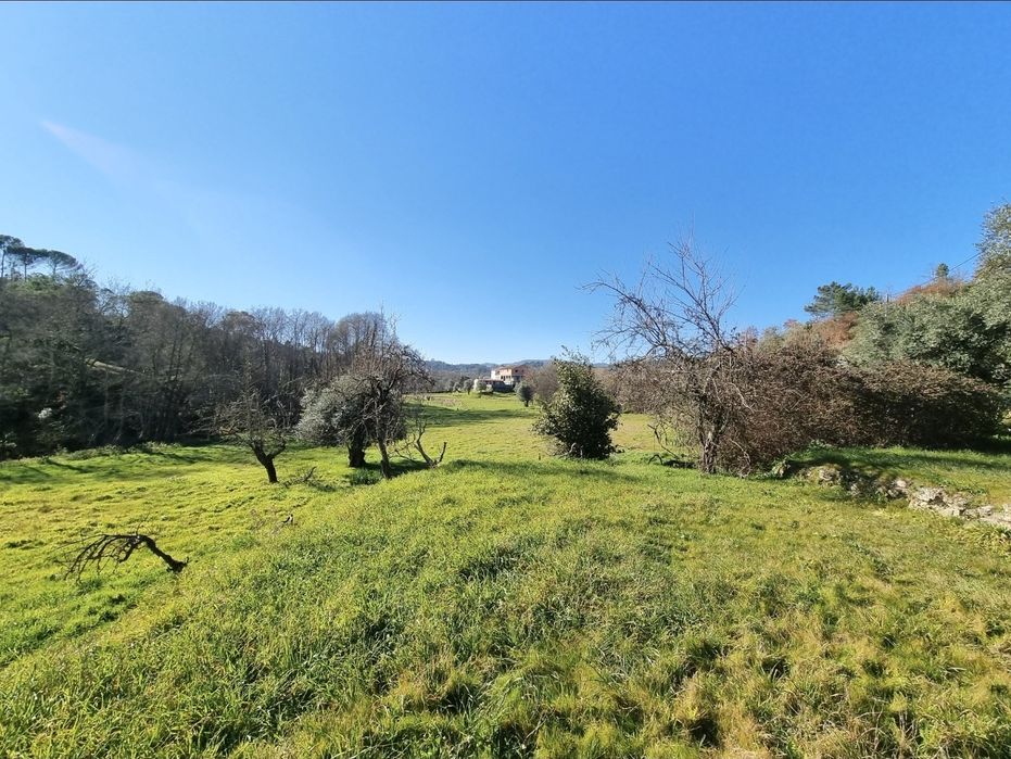 Terreno urbano  para construção