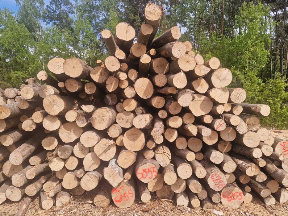 Drewno kominkowe dab buk