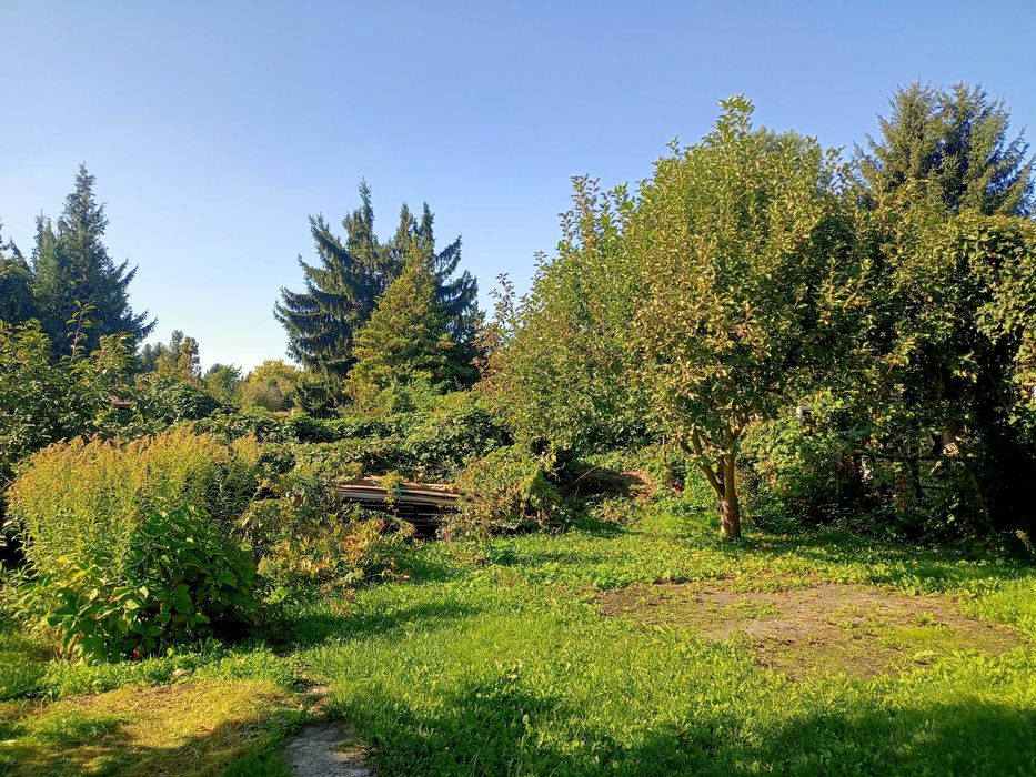 Działka ROD "Kaczeniec"