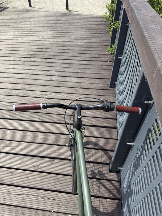 Rower single speed z piastą planetarną na stalowej ramie 56cm