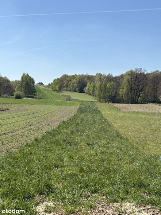 Działka rolno-budowlana (wąska)
