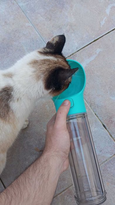 Garrafa 3 em 1 para Cães/Gatos