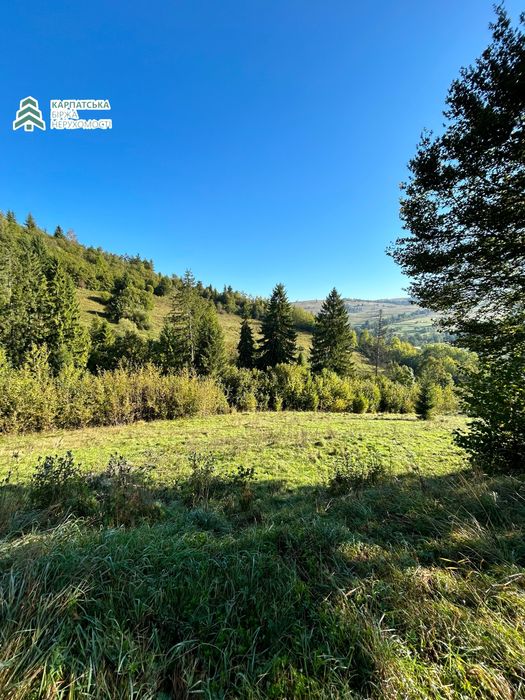 Земельна ділянка в гірському селі Нижній Студенний