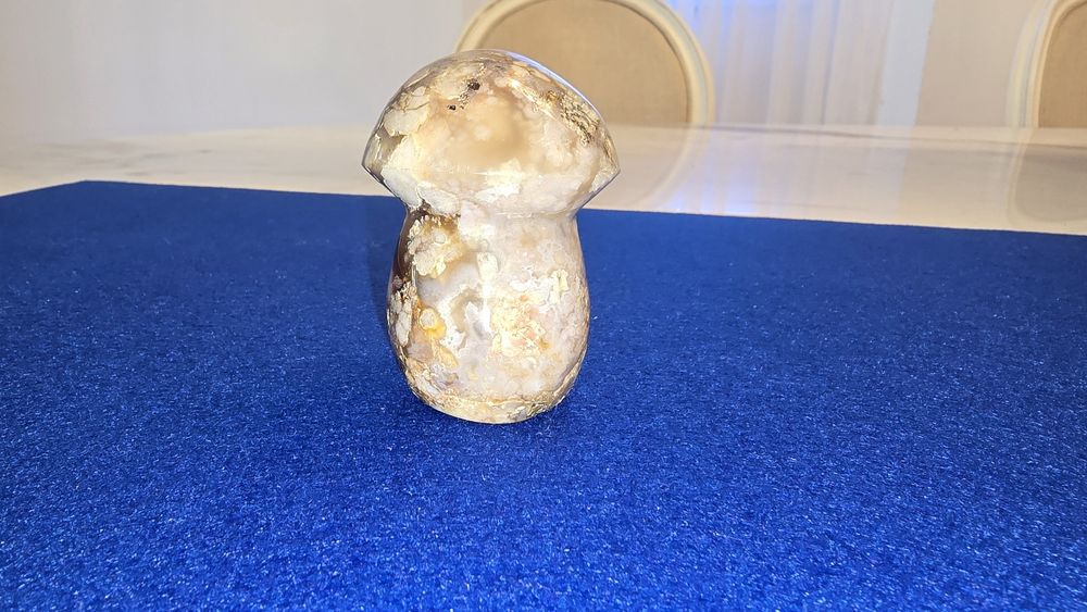 Cogumelo em agata flor