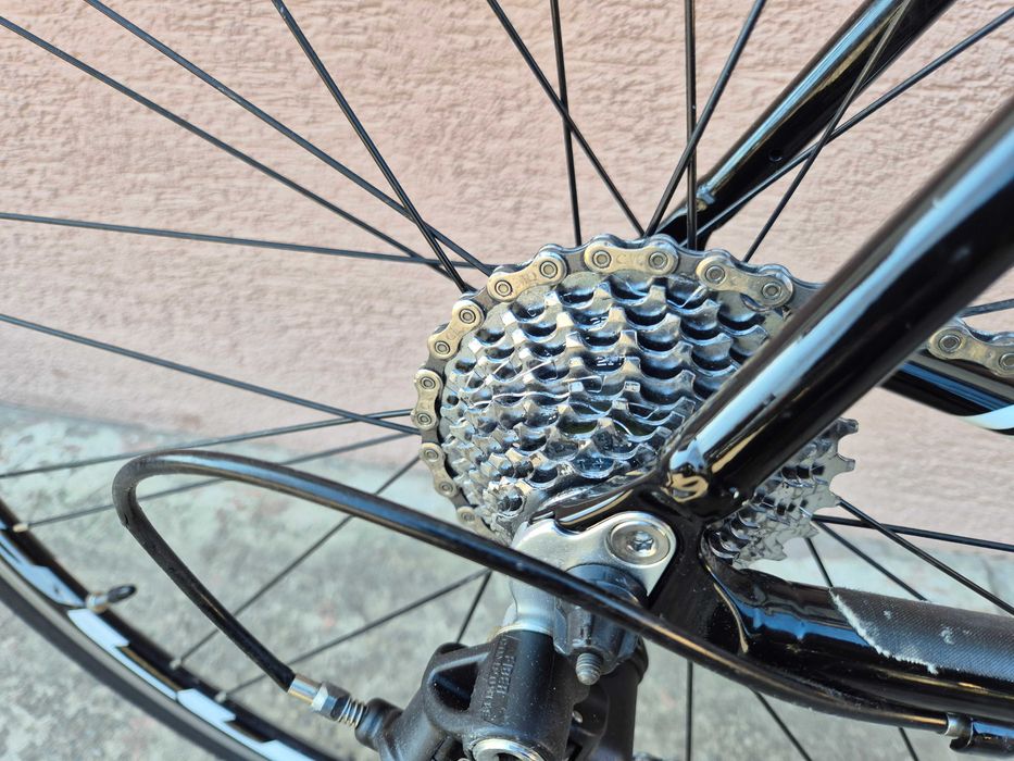 Rower szosowy Lee Cougan, alu/carbon, Campagnolo