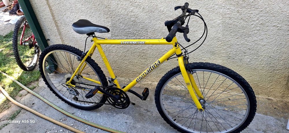 Bicicleta Esmaltina fábricada em Portugal