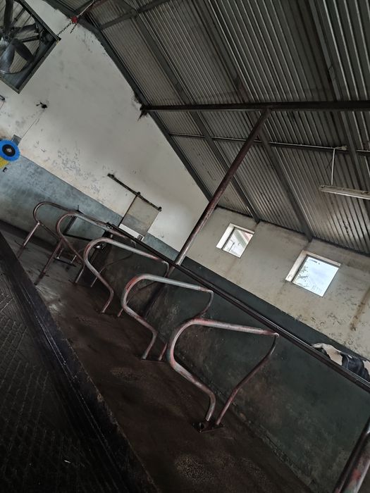 Mycie Budynków Gospodarczych! Czytaj Opis...