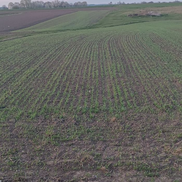 Сівалка юко 2.5м