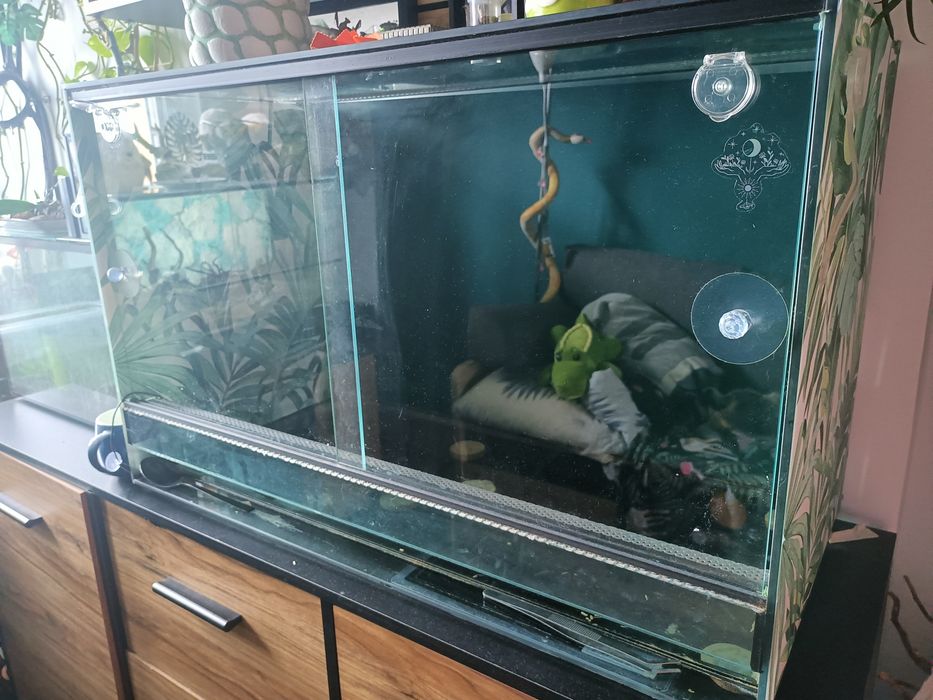 Terrarium szklane 80x50x40 + mata grzewcza