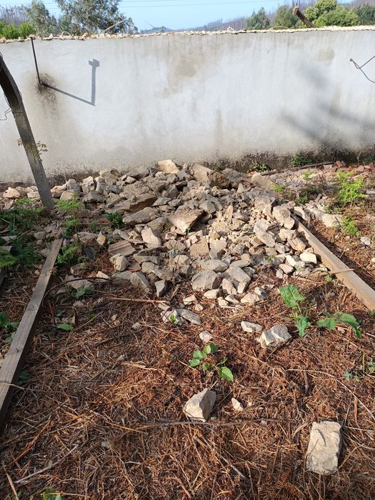 Faço limpeza de entulho todos tipos de limpeza e faco diminuição