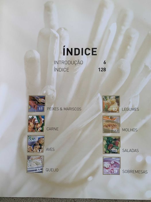O Livro do Fondue de Gina Steer, 2ª edição
