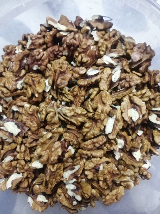 Горіх  волоський