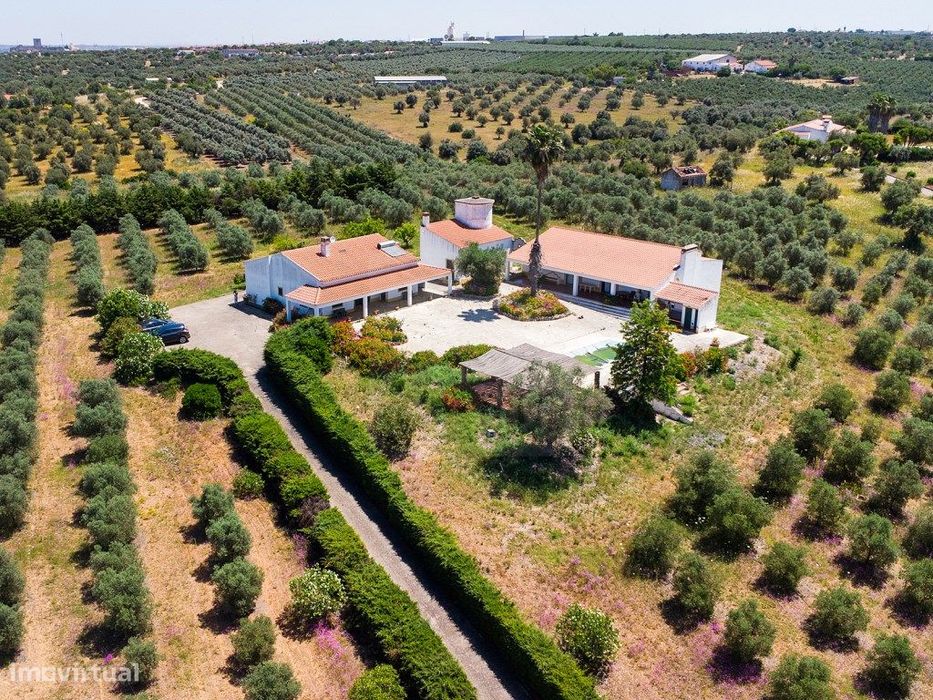 Quinta situada em Moura, Alentejo