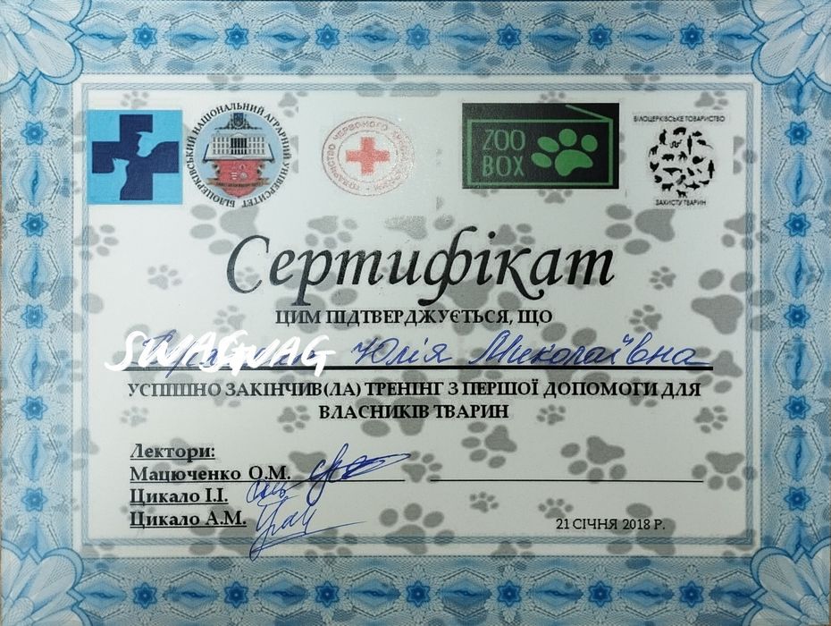 Перетримка собак , котиків, інших тварин