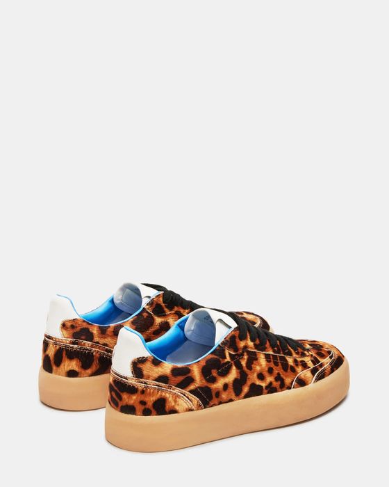 Леопардовые кеды Steve Madden