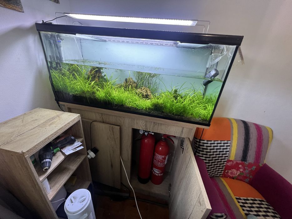 Aquario kit completo com todos os acessorios rochas substrato filtro