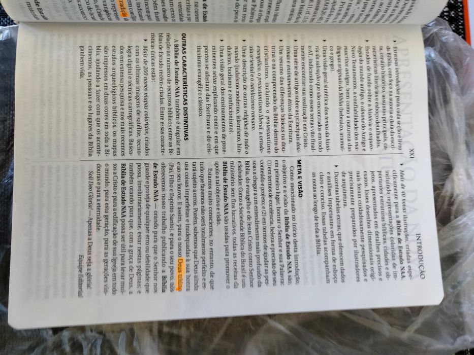 Bíblia de Estudo NAA