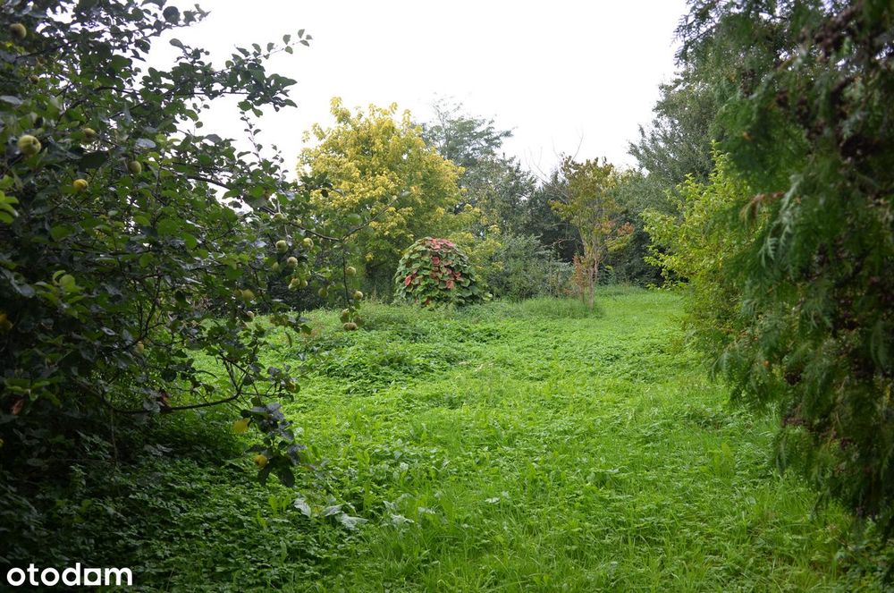Dom nad jeziorem 10 km od centrum Bydgoszczy, z własną linią brzegową.