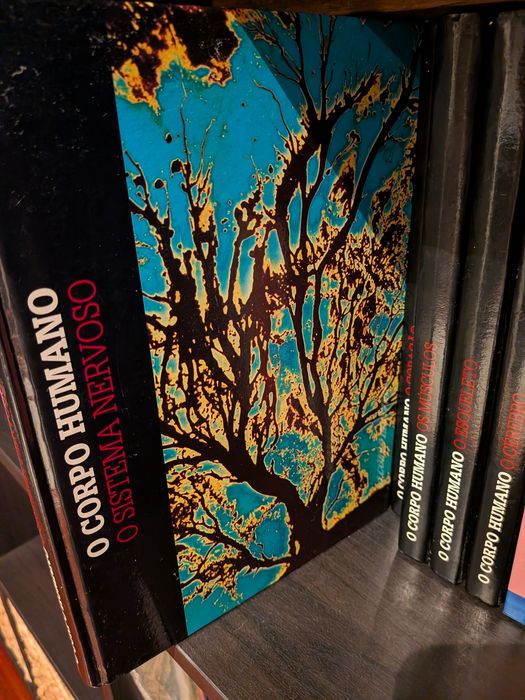 15 Livros (Colecção O Corpo Humano)