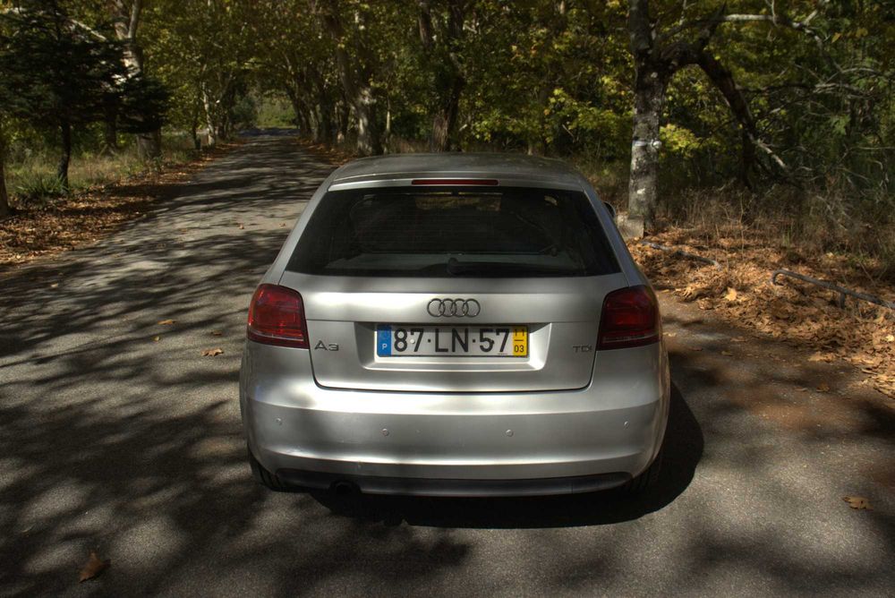 AUDI A3 Hatchback (8P1) 1.6 TDI 105 cv