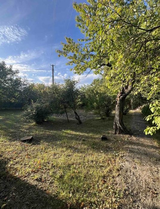 Продається дача ,, Олександрівка,