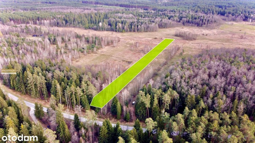 Działka w środku lasu z Wz | Wolaniny – pohled 3