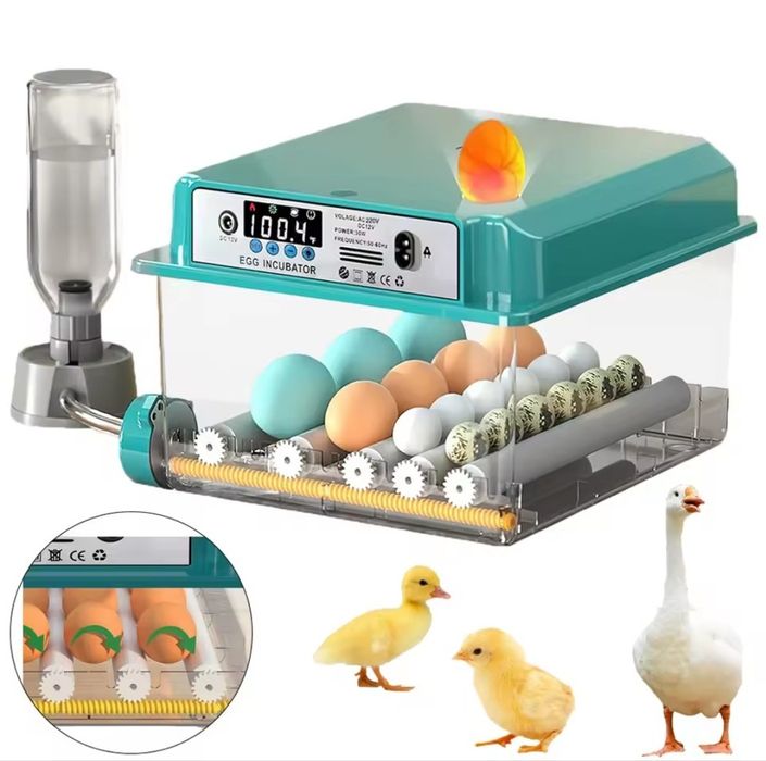 Chocadeira  ecovadora